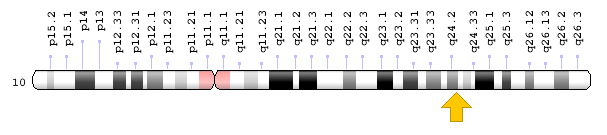 Görsel: ABCC2 Geni; Genom dekorasyon sayfası/NCBI