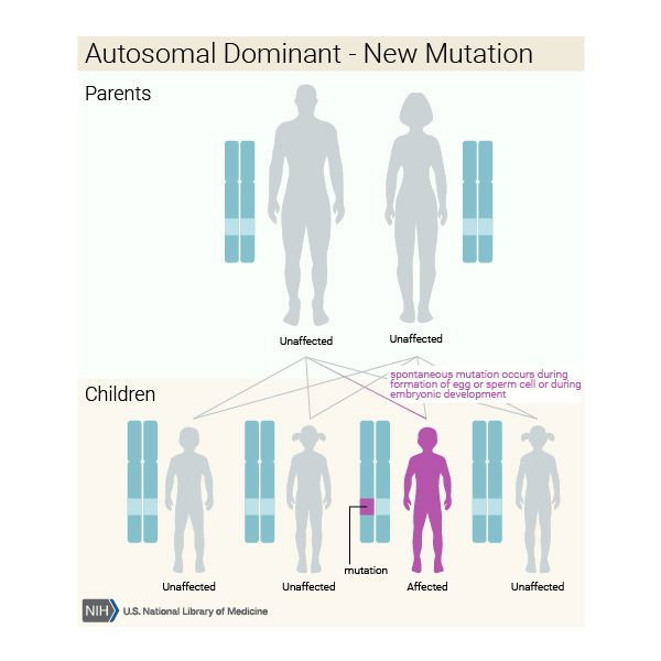 Görsel 6: Yeni (de novo) mutasyona sahip otozomal dominant kalıtım
