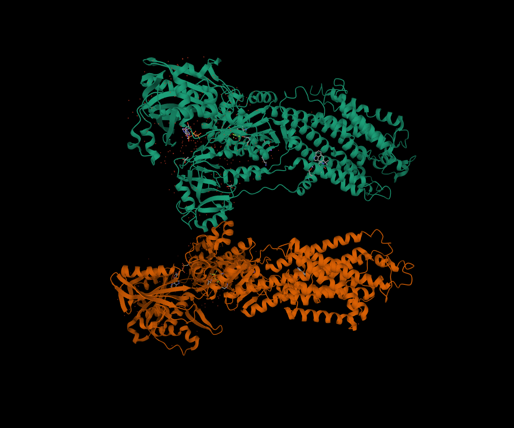 ATP2A1 Geni