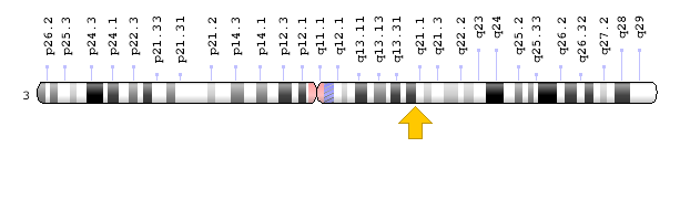 CASR geninin kromozom yeri