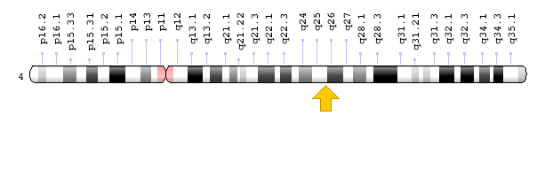 ank2-geni-lokasyonu