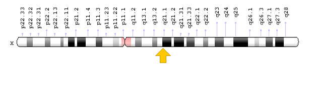 Görsel: ATP7A Geni; Genom Dekorasyon Sayfası/NCBI