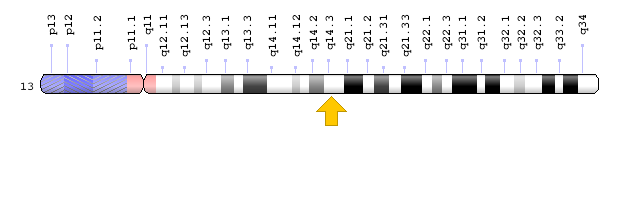 Görsel: ATP7B Geni; Genom Dekorasyon Sayfası/NCBI