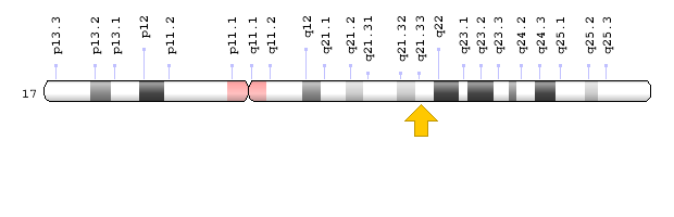 Görsel: COL1A1 Geni; Genom Dekorasyon Sayfası/NCBI