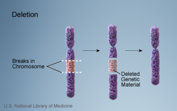 Görsel 9: Kromozomal silme/NCBI