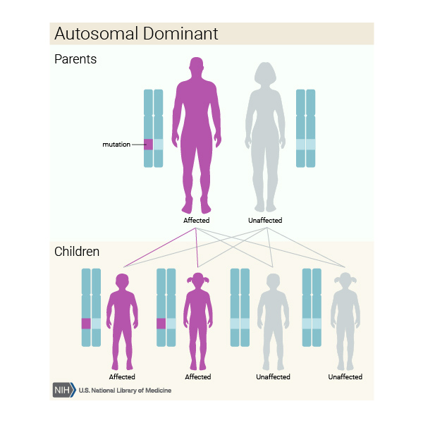 Görsel 10: Otozomal Dominant Kalıtım/NCBI