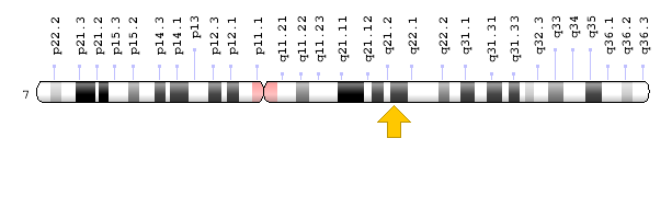Görsel 1: COL1A2 Geni, Kromozomal Konum; Genom Dekorasyon Sayfası / NCBI
