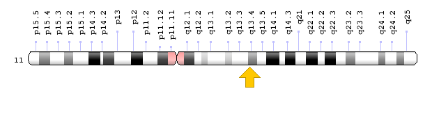 Görsel 1: DHCR7 Geni Kromozomal Konum: Genom Dekorasyon Sayfası/NCBI