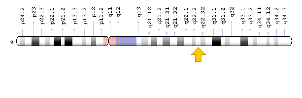 Görsel 1: BICD2 Geni Kromzomal Konum/Genom Dekorasyon Sayfası - NCBI