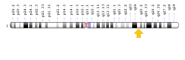 CLRN1 Geni lokosyonu