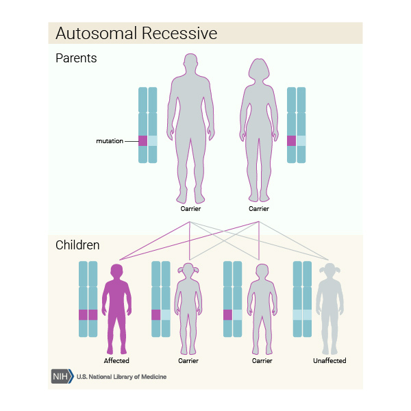 Akromatopsi-Şekil 6: Otozomal Çekinik Kalıtım