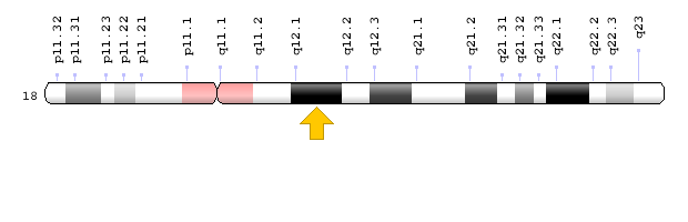DSG4 Geni: Kromozomal Konum; Genom/Dekorasyon Sayfası