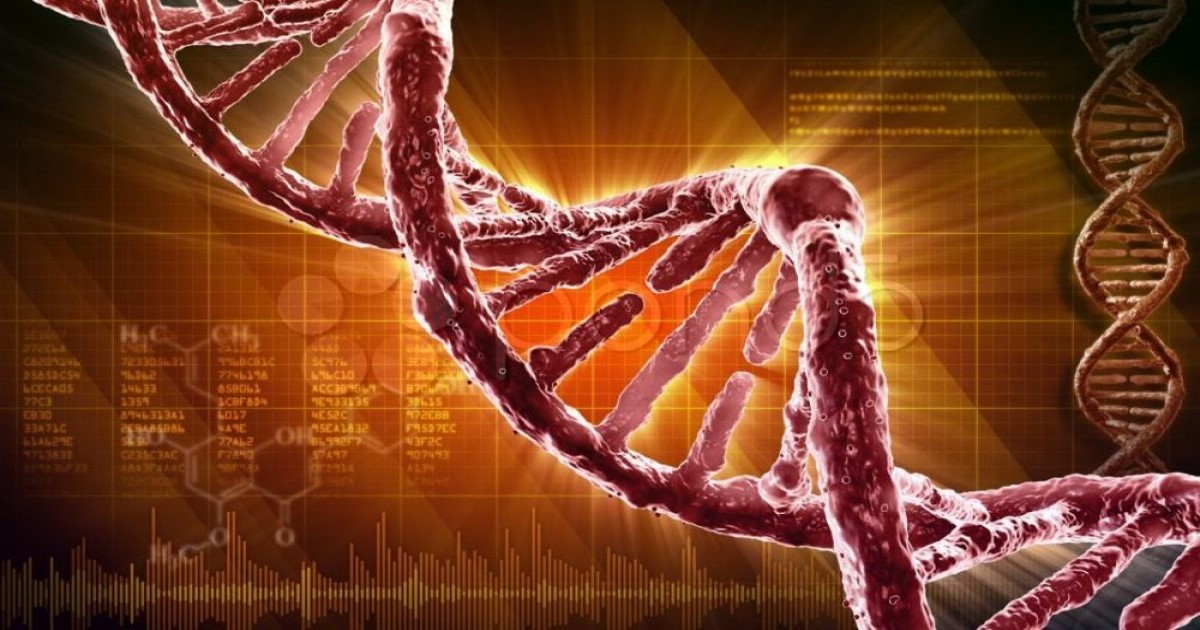 Gen Teknolojileri Nelerdir?