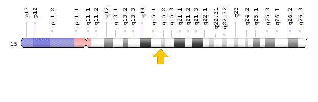 CAPN3 Geni : Kromozomal Konum; Genom Dekorasyon Sayfası/NCBI