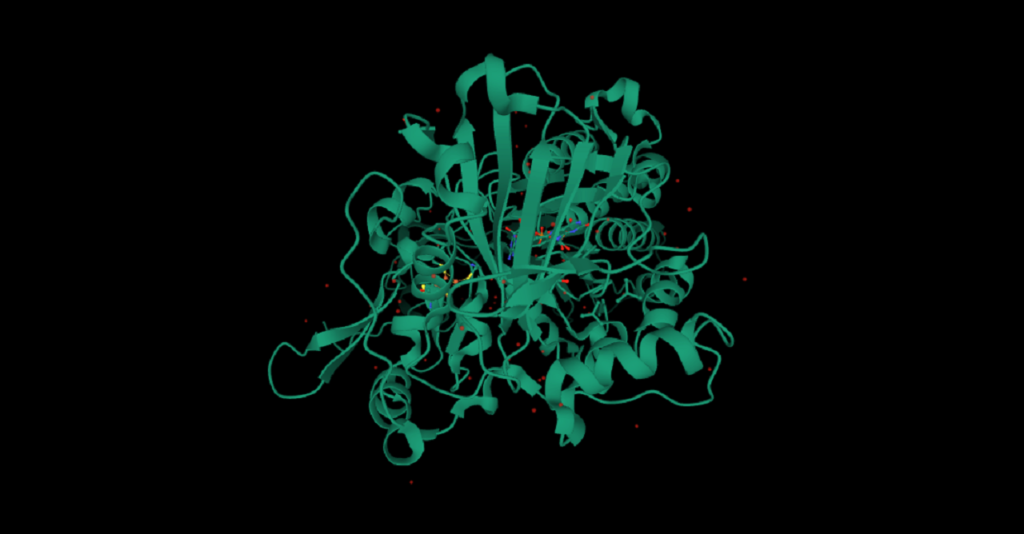 ETFDH gene 3D Görüntüsü