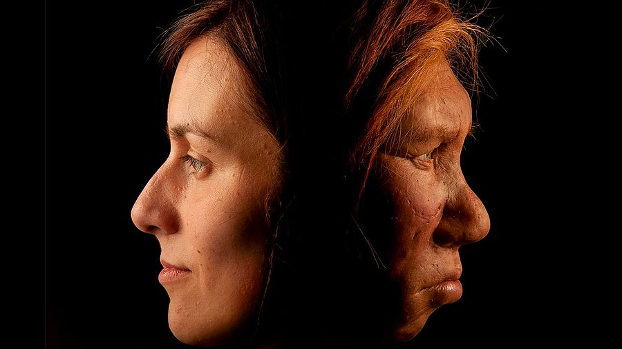 Neandertal ve Denisova DNA’sının Modern İnsan Genomundaki İzleri