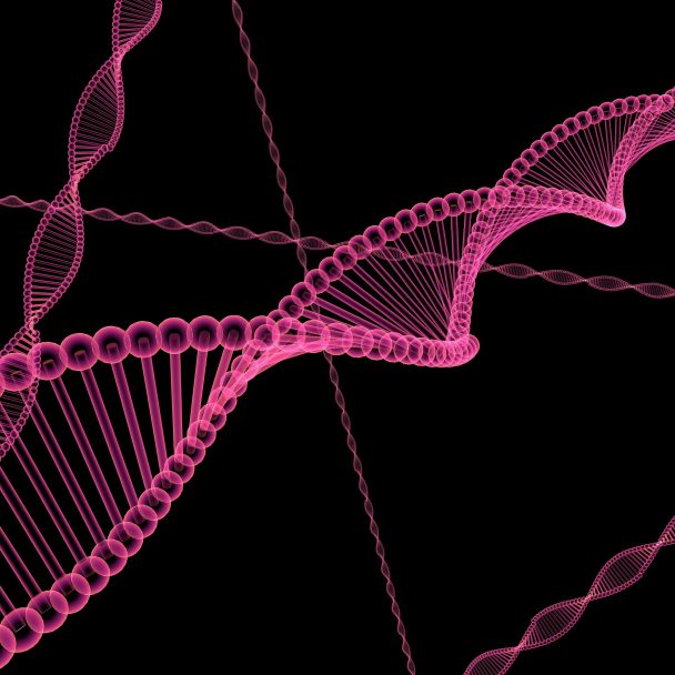 Genomun 3 Boyutlu Katlanması: Epigenetik Bellek Sistemi